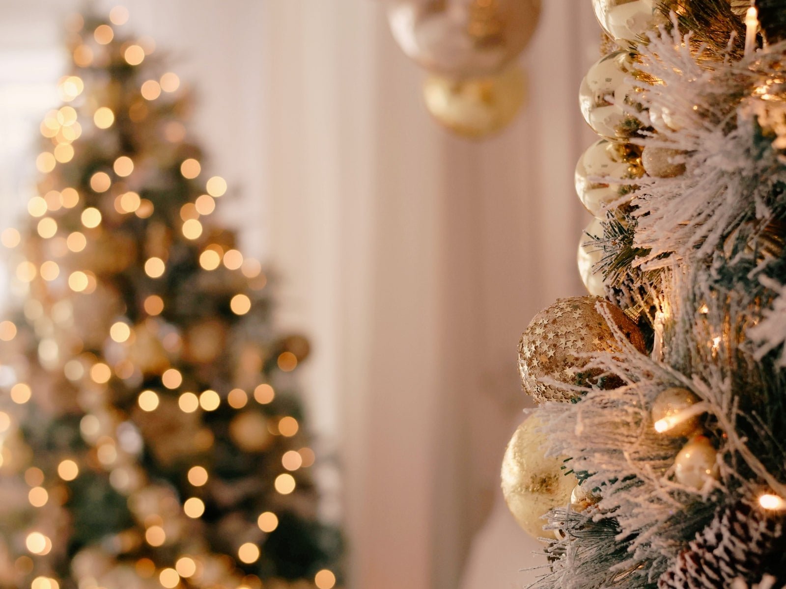 Noël : nos idées cadeaux coup de cœur pour futures mamans - Sculptée